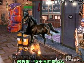 明日之后最新爆料艺星,艺星新角色揭秘，探索未知冒险之旅